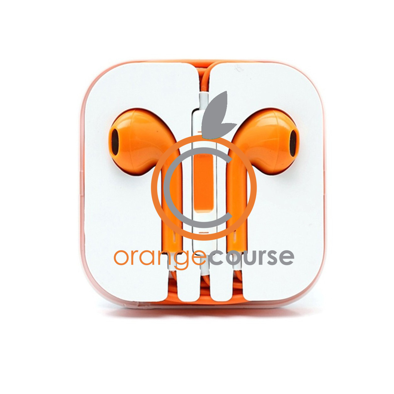 Logo Branded Earphones in Case