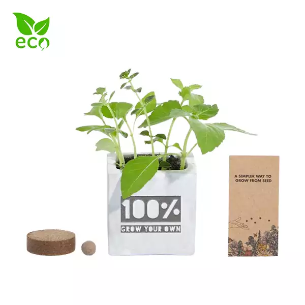 Empty Customisable Concrete Pot