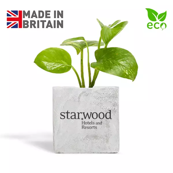 Branded Plant Pots 2