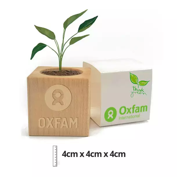 Wooden Promotional Flower Pot