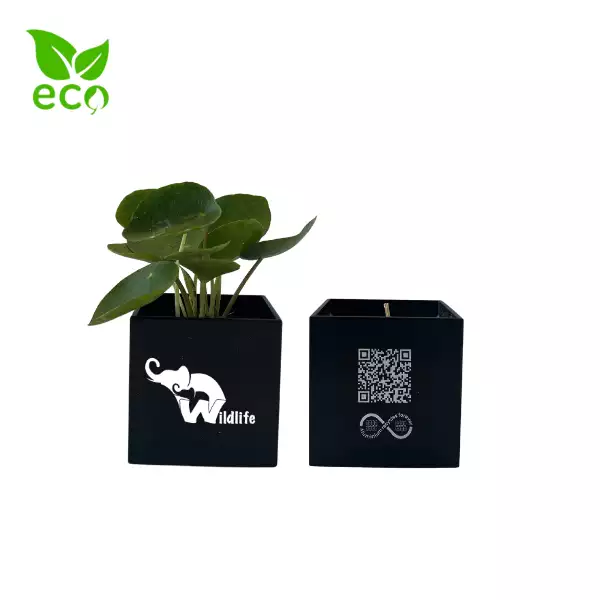 Branded Plant and Candle Pack