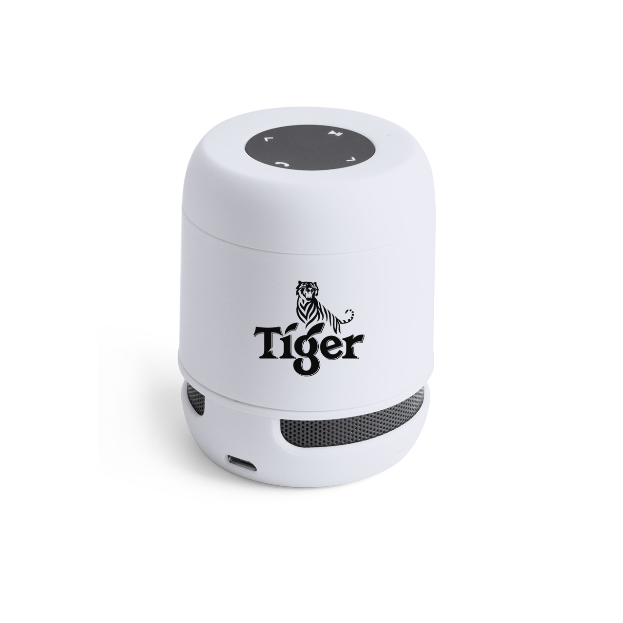 Branded Bluetooth Speaker with logo