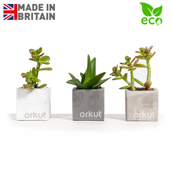 Branded Succulent Pots