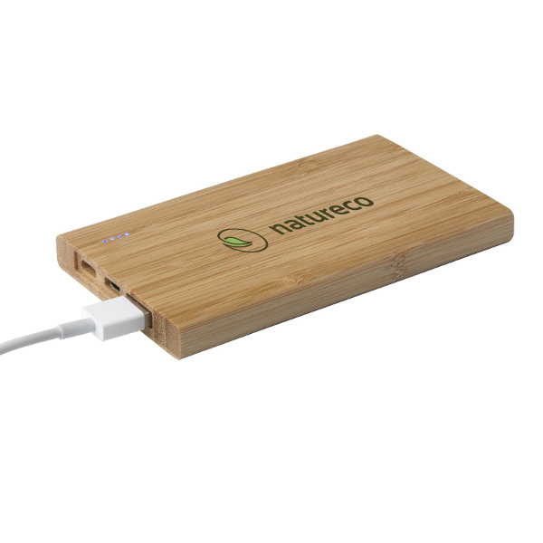 Express Promotional Bamboo Power Bank