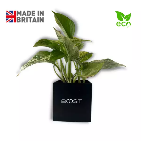 aluminium branded plant pot