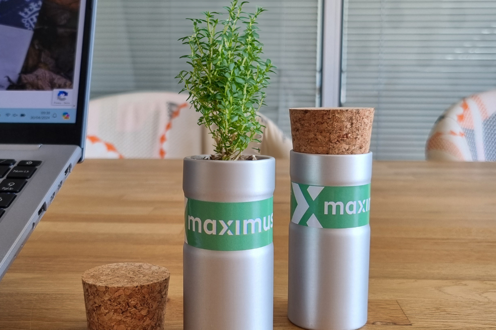 Maximus Promotional Desktop Plants